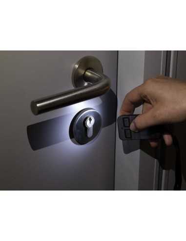 JUEGO DE RECEPTOR Y TRANSMISOR RF DE 2 CANALES CON IoT TUYA