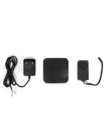 JUEGO DE RECEPTOR Y TRANSMISOR RF DE 2 CANALES CON IoT TUYA