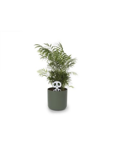 PANDA - CUIDADOR DE PLANTAS - KIT PARA MONTAR