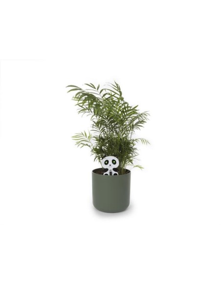 PANDA - CUIDADOR DE PLANTAS - KIT PARA MONTAR