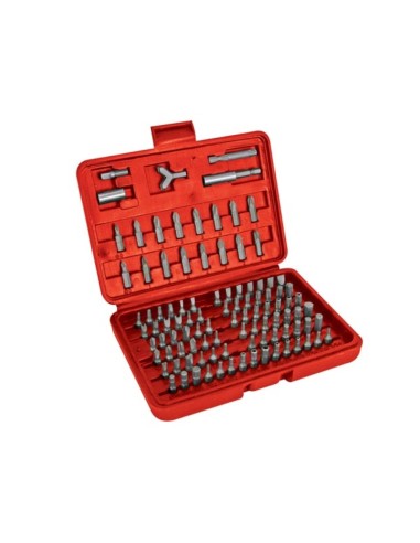 3040-100 JUEGO 100 PUNTAS