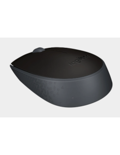 RATON CORDLESS M171 USB 2