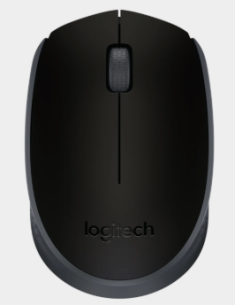 RATON CORDLESS M171 USB