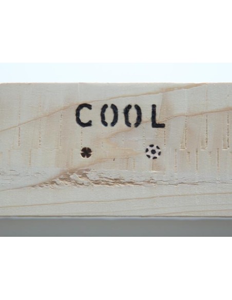 PIROGRABADOR 30W 230V