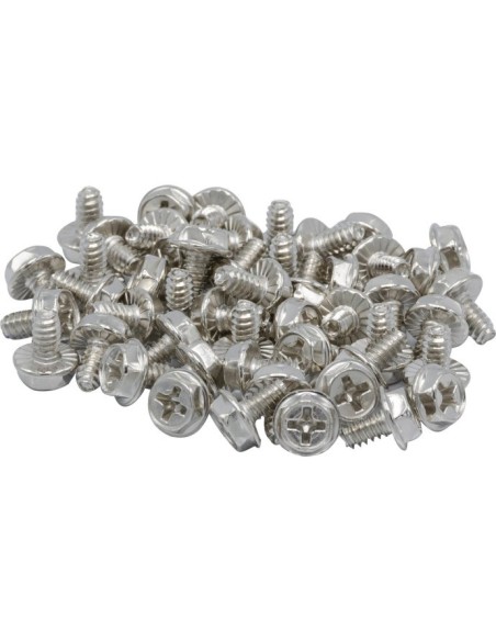 BOLSA 50 TORNILLOS DISCO DURO