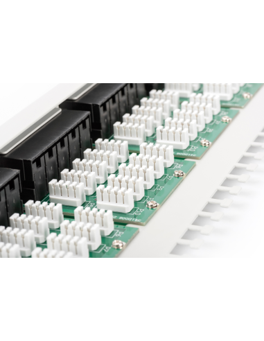 Panel 19" 50x conexión telefónica CAT3