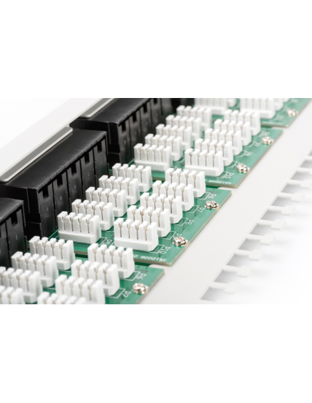 Panel 19" 50x conexión telefónica CAT3