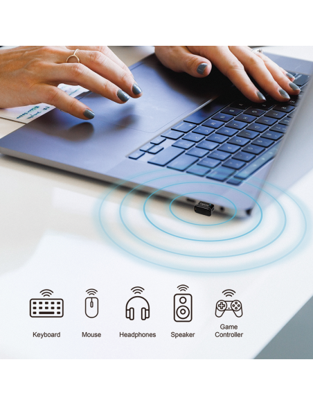 ADAPTADOR BLUETOOTH 5.3 USB-A  20M