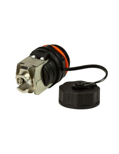 Módulo Keystone RJ45 CAT6A Mamparo exterior