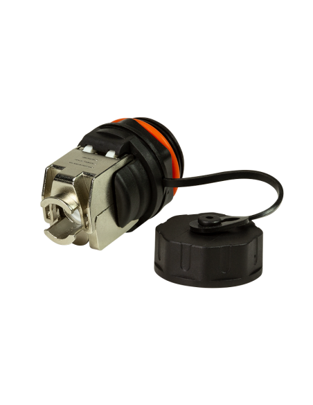 Módulo Keystone RJ45 CAT6A Mamparo exterior