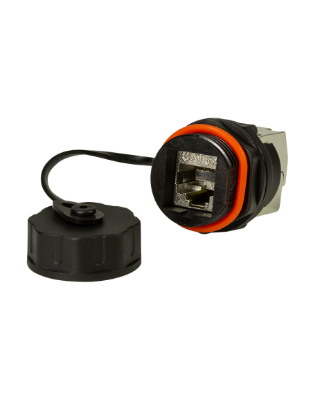 Módulo Keystone RJ45 CAT6A Mamparo exterior