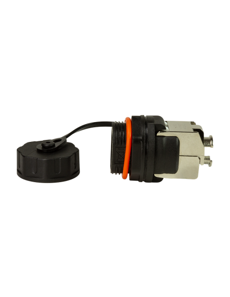 Módulo Keystone RJ45 CAT6A Mamparo exterior