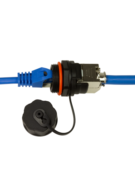 Módulo Keystone RJ45 CAT6A Mamparo exterior