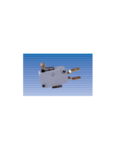 CT760/D Microrruptor INV.A rodillo UNIP