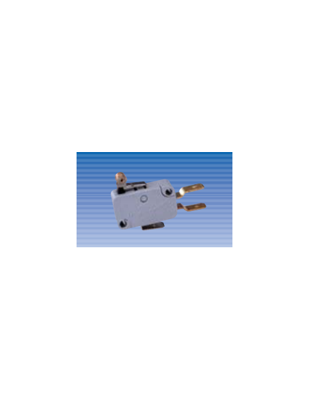 CT760/D Microrruptor INV.A rodillo UNIP