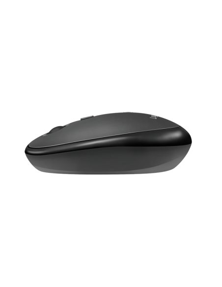 RATON WIRELESS/BLUETOOTH NEGRO