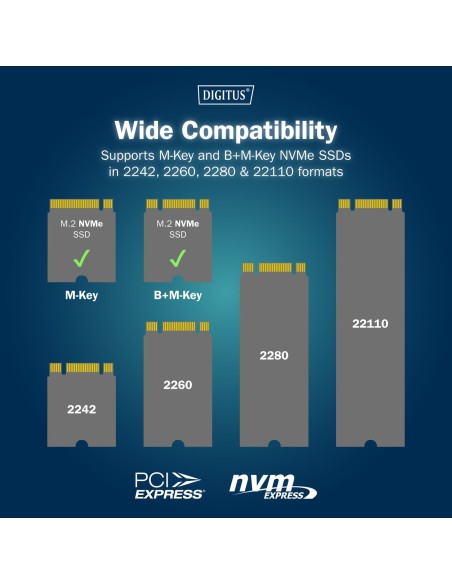 Estación de clonación de unidades SSD NVMe M.2 USB3.1 Gen2 Tipo-C