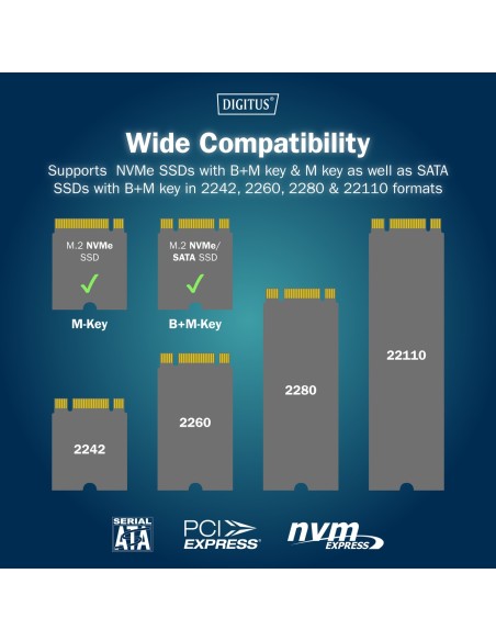 Estación de acoplamiento SSD M.2 NVMe + M.2 SATA con lector de tarjetas SD-Express, USB-C™